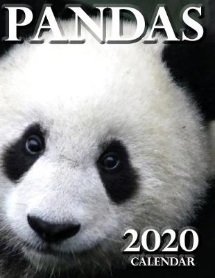 Book cover for Pandas 2020 Calendar