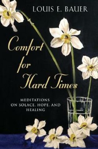 Cover of Comfort for Hard Times