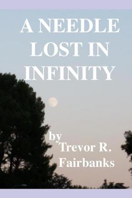 Book cover for A Needle Lost in Infinity