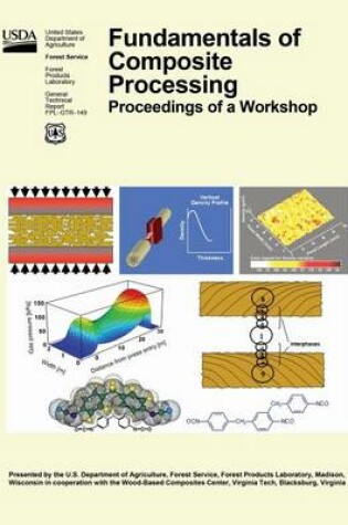 Cover of Findamentals of Composite Processing