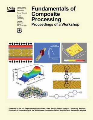 Book cover for Findamentals of Composite Processing