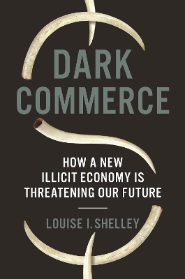 Book cover for Dark Commerce