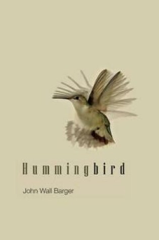 Cover of Hummingbird