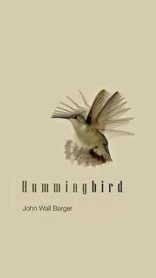 Book cover for Hummingbird