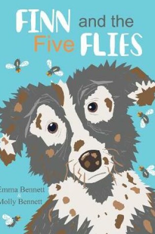 Cover of Finn and the Five Flies