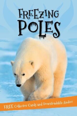 Cover of It's all about... Freezing Poles