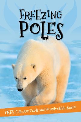 Book cover for It's all about... Freezing Poles