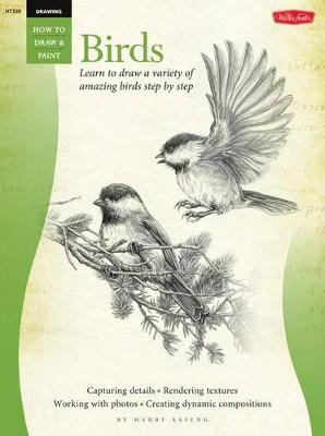 Book cover for Birds (Drawing: How to Draw and Paint)