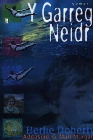 Cover of Cyfres Nofelau i'r Arddegau: Garreg Neidr, Y