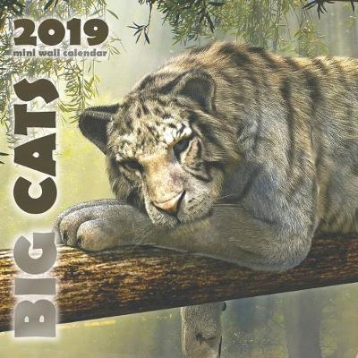 Book cover for Big Cats 2019 Mini Wall Calendar