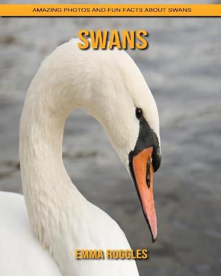 Book cover for Swans