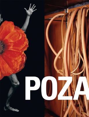 Book cover for POZA