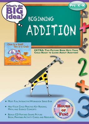 Book cover for Beginning Addition: What's the Big Idea? Workbook