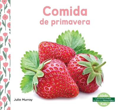 Book cover for Comida de Primavera (Spring Food)