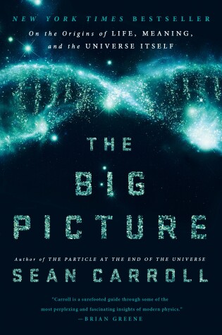 Cover of The Big Picture