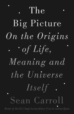 Book cover for The Big Picture