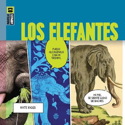 Book cover for Los Elefantes