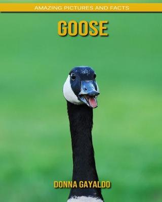 Book cover for Goose