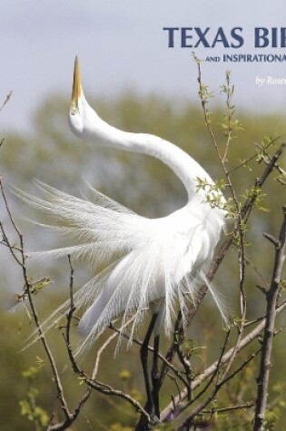 Cover of Texas Birds and Inspirational Quotes