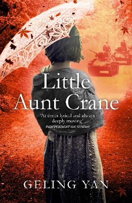 Book cover for Little Aunt Crane