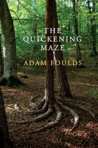 Cover of The Quickening Maze