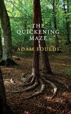 Book cover for The Quickening Maze