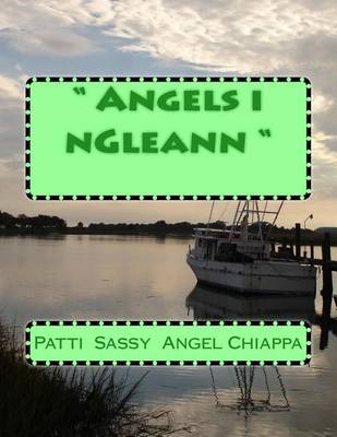 Book cover for " Angels i nGleann "