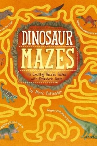 Cover of Dinosaur Mazes