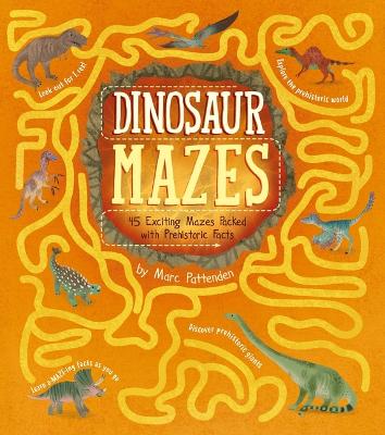 Book cover for Dinosaur Mazes