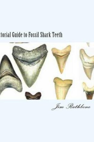 Cover of Pictorial Guide to Fossil Shark Teeth