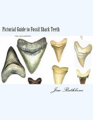 Book cover for Pictorial Guide to Fossil Shark Teeth