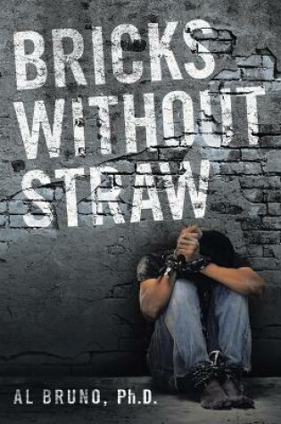 Cover of Bricks Without Straw