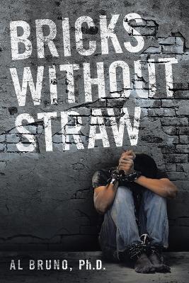 Book cover for Bricks Without Straw