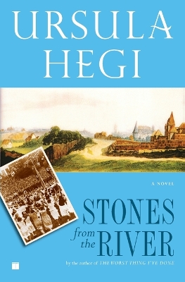 Book cover for Stones from the River