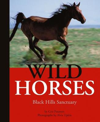 Book cover for Wild Horses