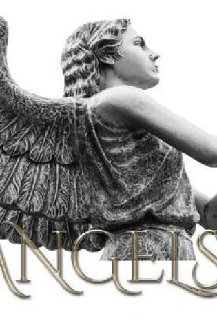 Cover of Angel