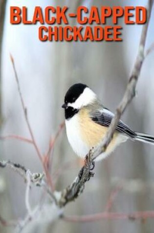Cover of Black-Capped Chickadee