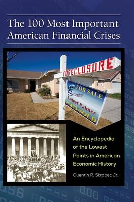 Book cover for The 100 Most Important American Financial Crises