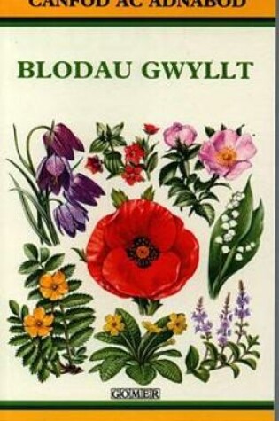 Cover of Cyfres Canfod ac Adnabod: Blodau Gwyllt