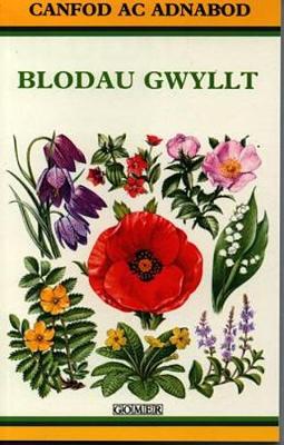 Book cover for Cyfres Canfod ac Adnabod: Blodau Gwyllt