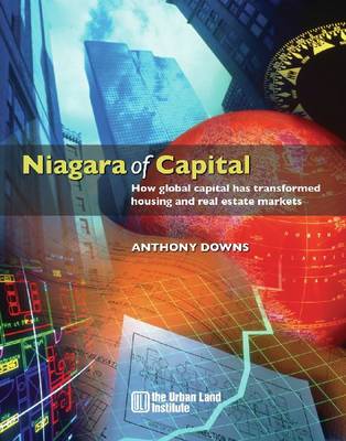 Book cover for Niagara of Capital