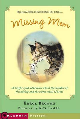 Book cover for Missing Mem