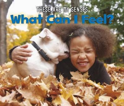 Cover of What Can I Feel?