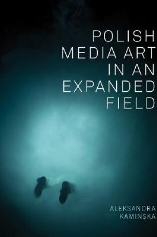 Cover of Polish Media Art in an Expanded Field