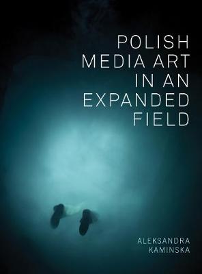 Cover of Polish Media Art in an Expanded Field