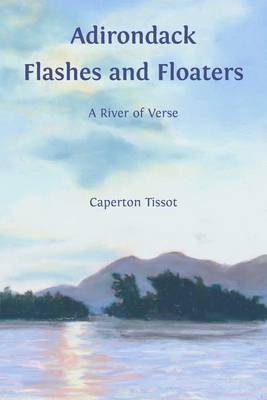 Book cover for Adirondack Flashes and Floaters