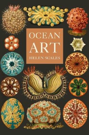 Cover of Ocean Art