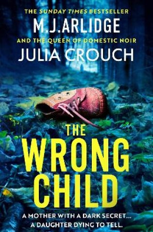 Cover of The Wrong Child