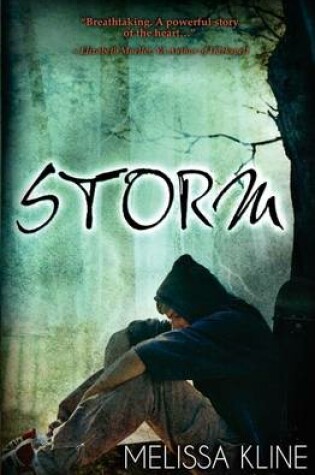 Cover of Storm