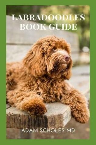 Cover of Labradoodles Book Guide